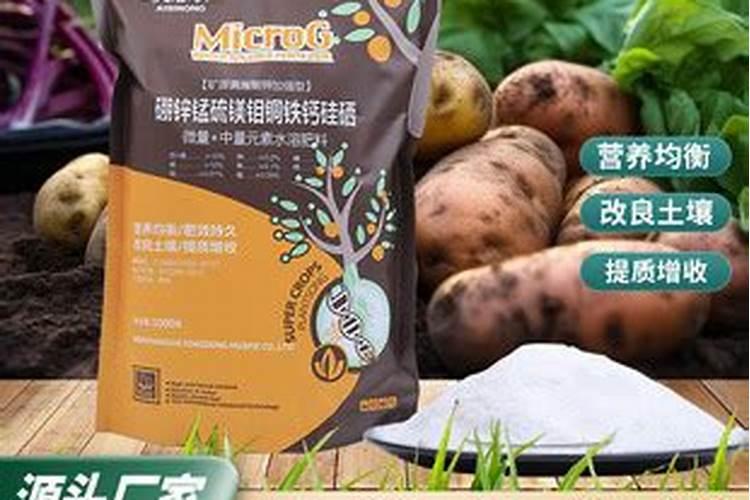 种红薯施什么肥料最好(红薯施什么肥料结的多产量高)