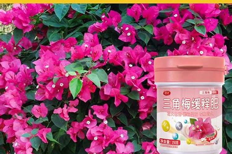 三十斤水放多少磷酸二氢钾合适