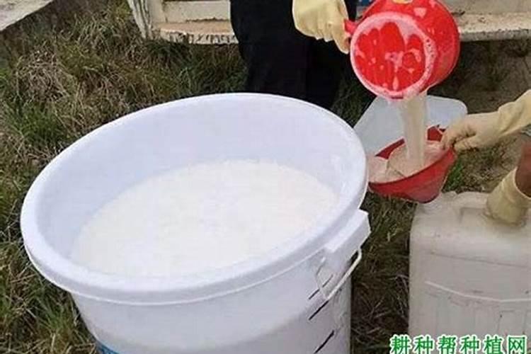 在农村养什么可以赚大钱？