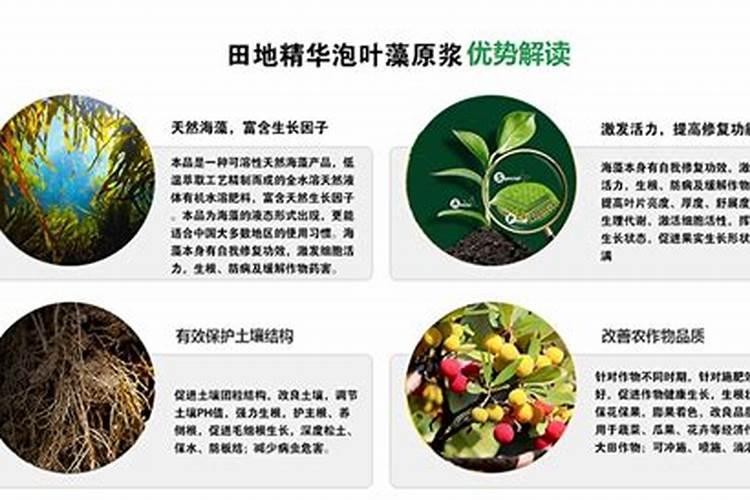 高氮型水溶肥的特点是什么？