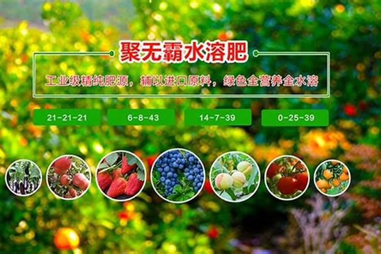 水溶肥料有哪些种类 水溶肥选哪种剂型好