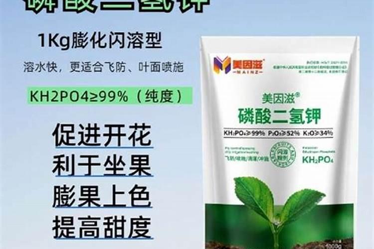 黄豆开花期需要施什么肥 什么时候施肥能高产