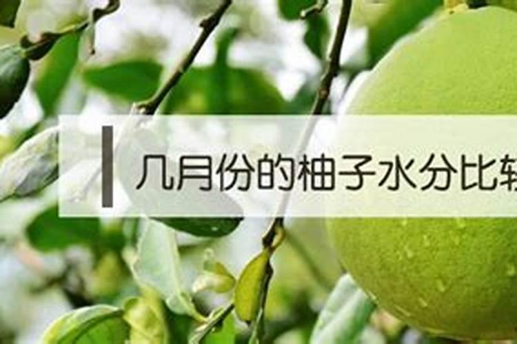 什么是氮肥什么是磷钾肥,什么是有机肥