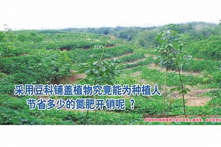 如何正确施用磷肥？