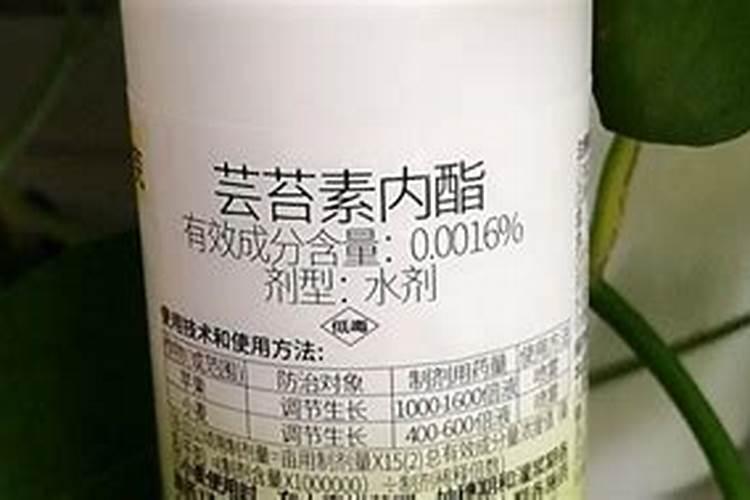 葡萄套袋之前需要打什么药