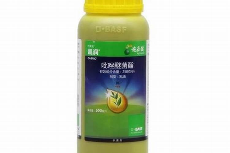 桂花鱼养殖条件