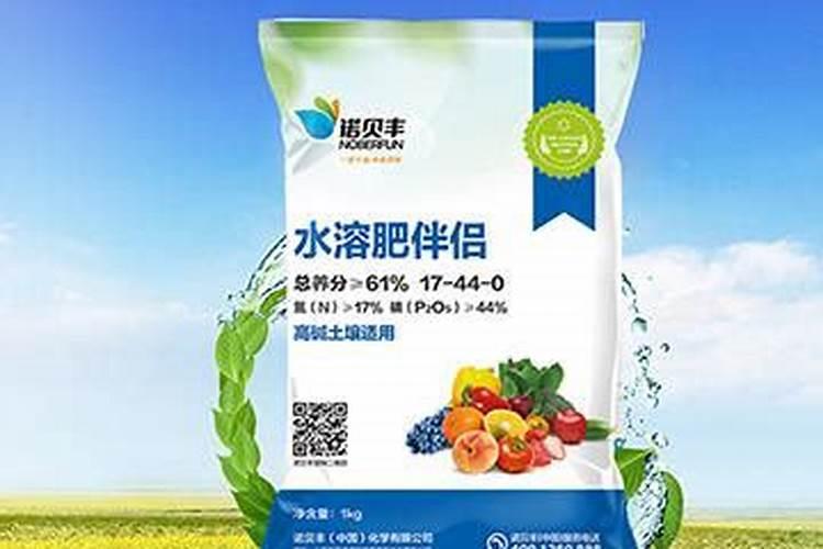 高产香蕉需要掌握的科学施肥技术有哪些