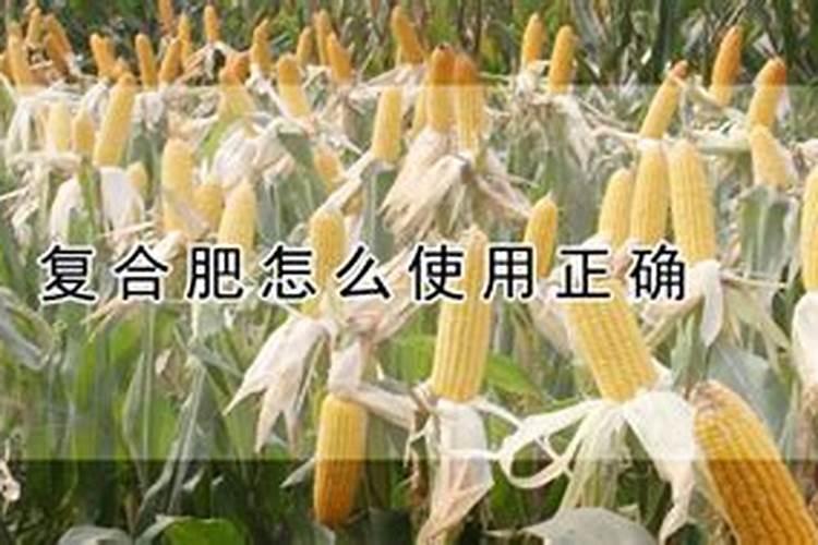 复合肥怎么用种花