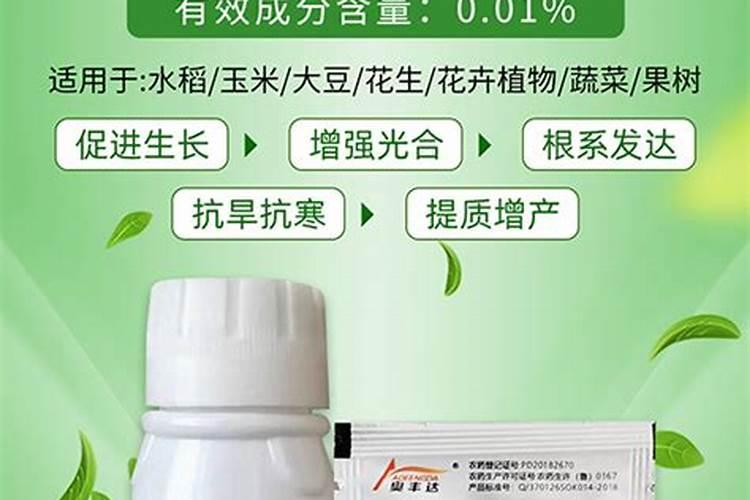 叶脉先黄的原因是？
