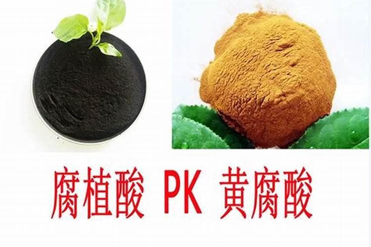 脐橙缺素的症状
