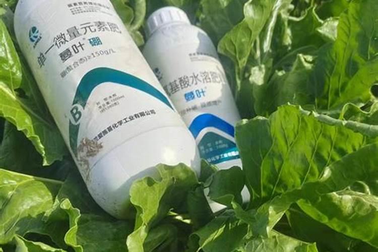 硝酸铵钙能撒施吗