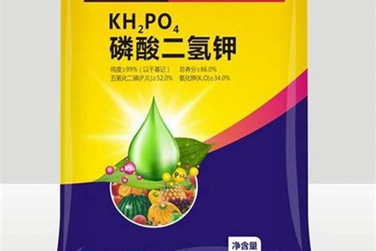新买的兰花带花苞上盆后能开花吗？才买回来带花苞的兰花怎么养护