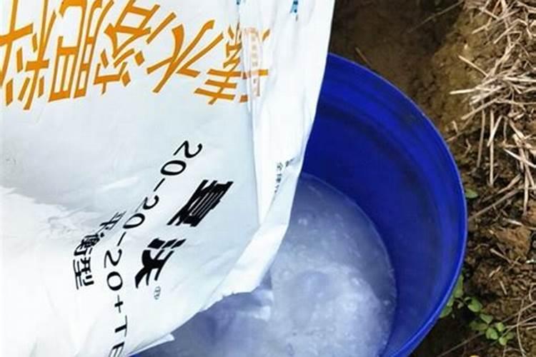 怎样制作肥料,降低养花成本,迎合植物成长呢？