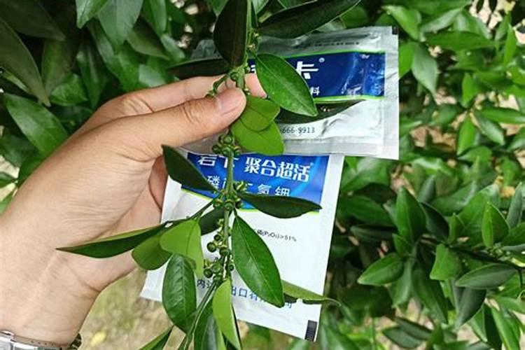 叶面肥和杀菌剂能混用吗 叶面肥和杀菌剂使用注意事项