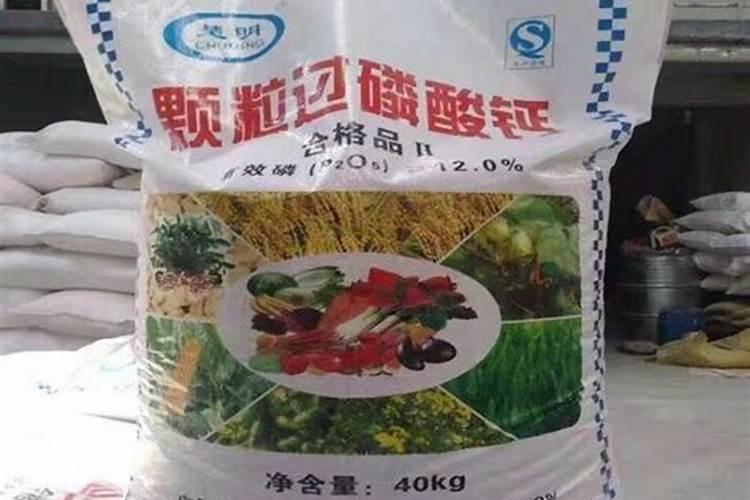 插花培养液制作放法,月季花剪枝后插水里,培养成活的方法