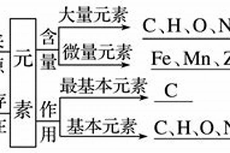 什么是大量元素？举例