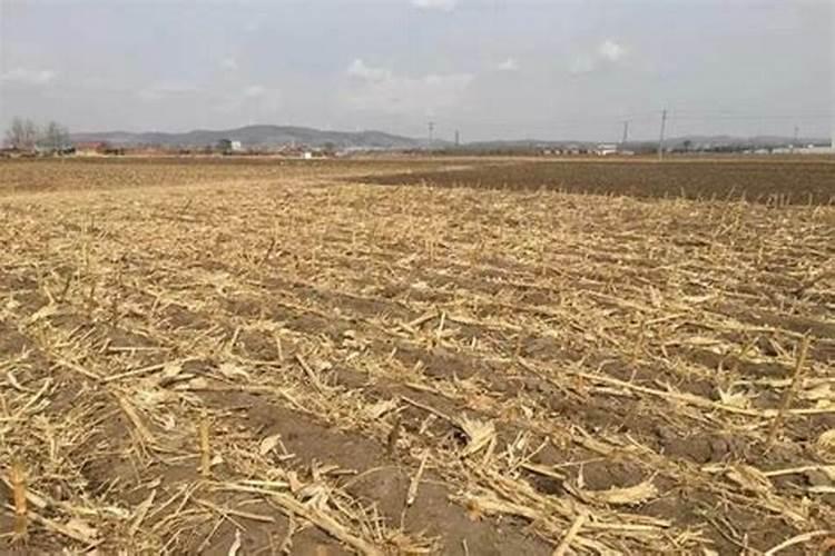 都在提倡秸秆还田,那秸秆还田对土壤有好处吗？