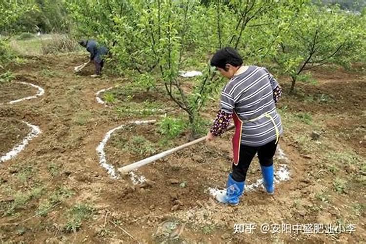 硅钙镁肥的原料是什么
