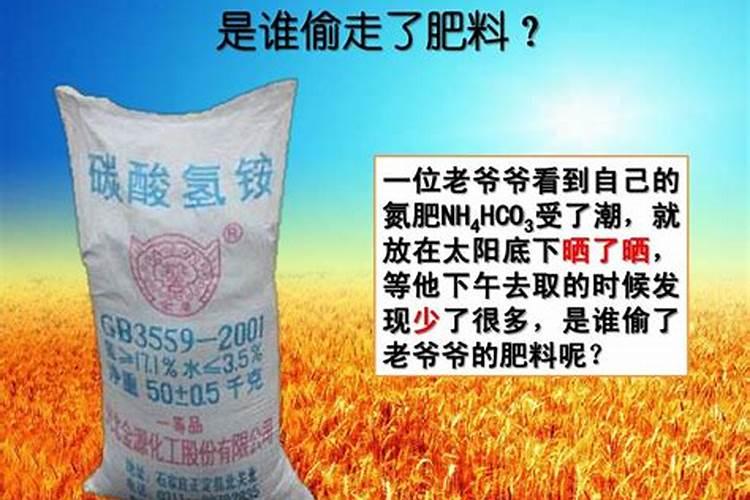 橡皮树怎么施肥,要掌握以下施肥要点