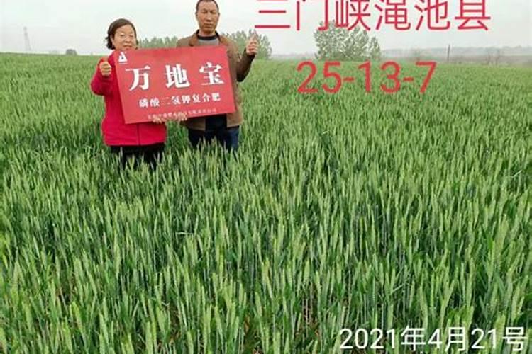 肥料检测标准有哪些标准？