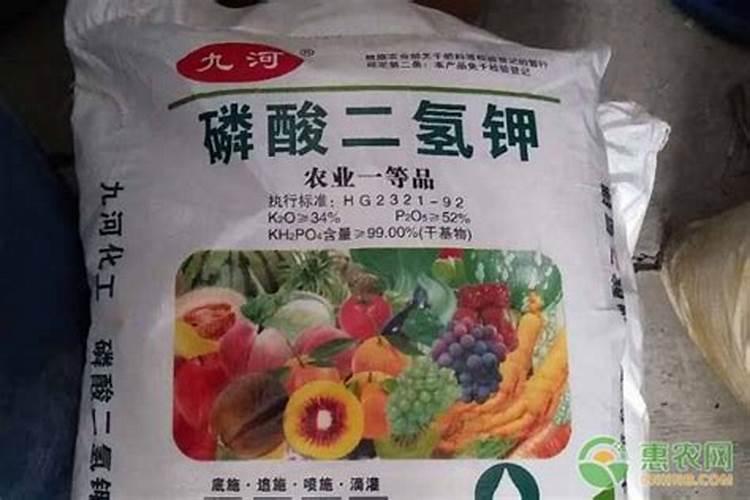 玉米适合什么肥料