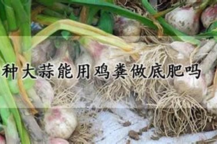 氮肥可以兑水浇花吗