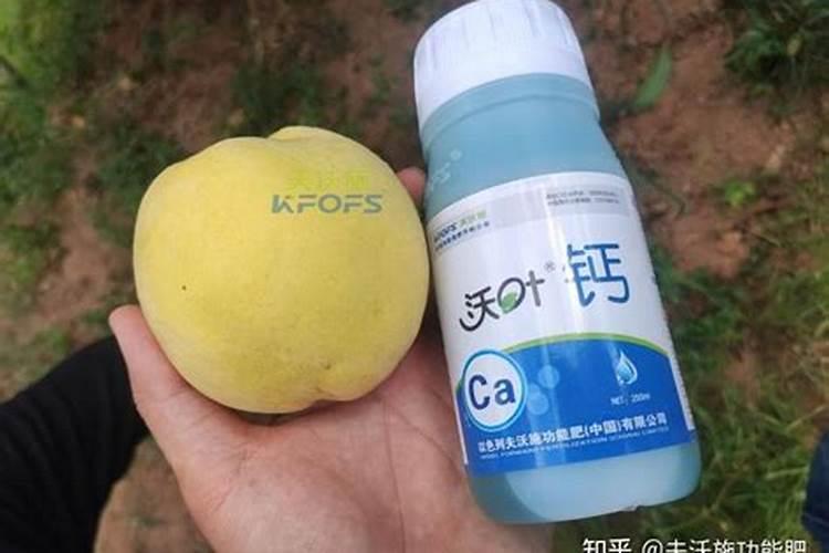 水溶肥料怎么使用