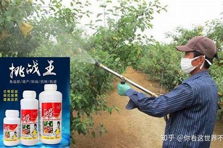 大蒜需要用几次膨大素