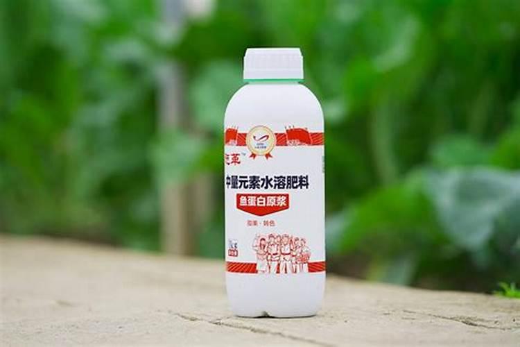 生菜追肥用什么肥料见效快(种生菜用什么肥料冲施最好)