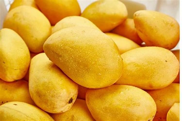 芒果树用什么肥料最好