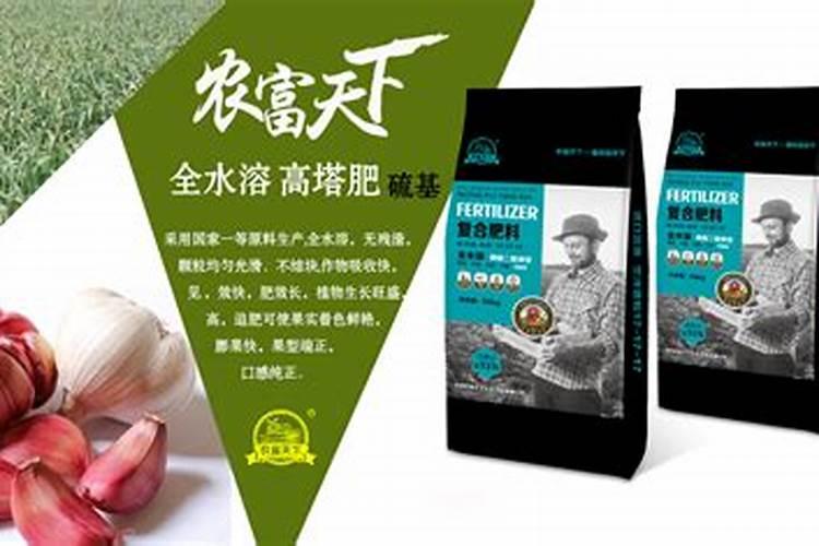种大蒜上什么肥料最好