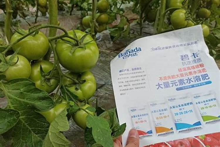 草坪一般怎么施肥,一般用量是多少,一年用几次肥
