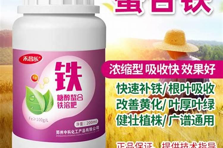 硅肥硅肥的十大作用