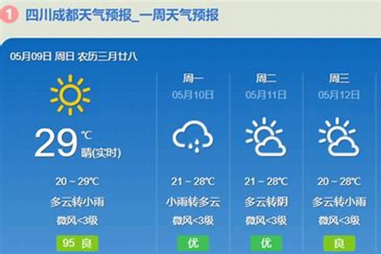 兰花用什么肥料最好