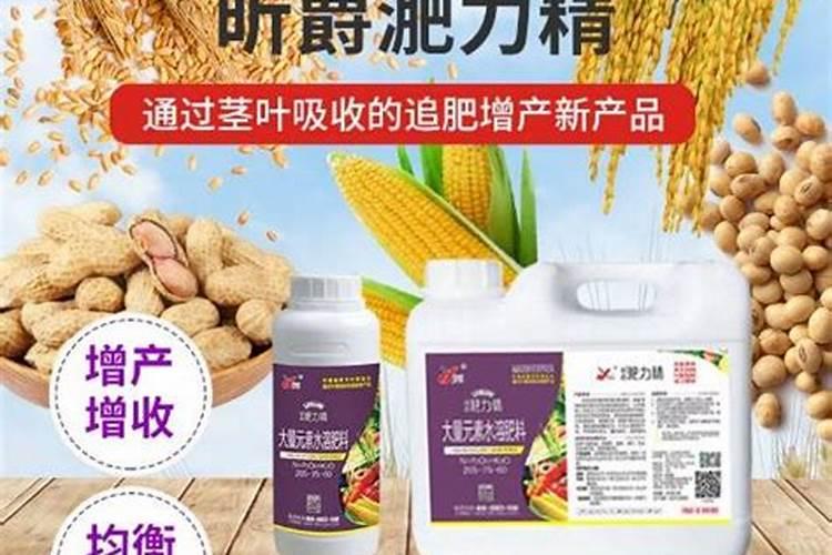 草坪专用肥和复合肥有什么区别