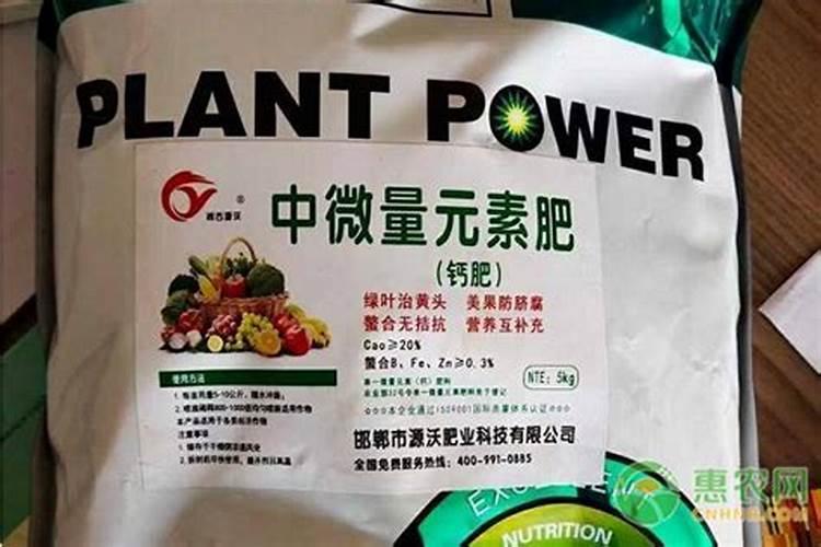 花卉肥料有哪些
