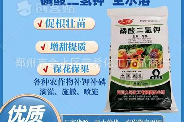 板栗园如何施用硼肥？