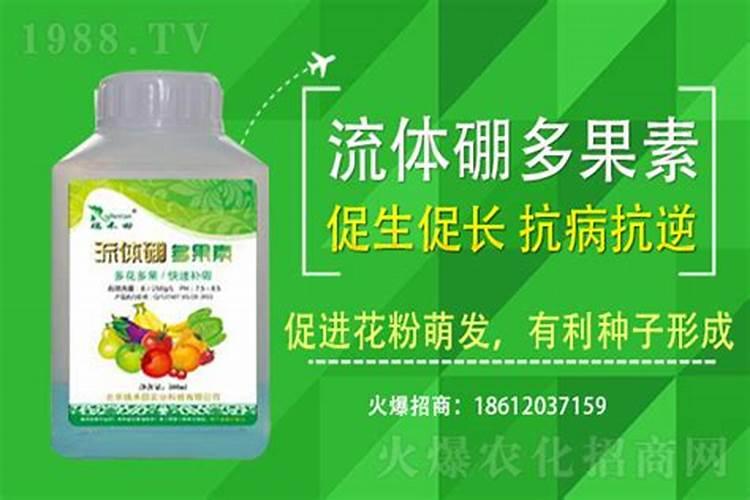 蓝莓什么肥料最好最旺