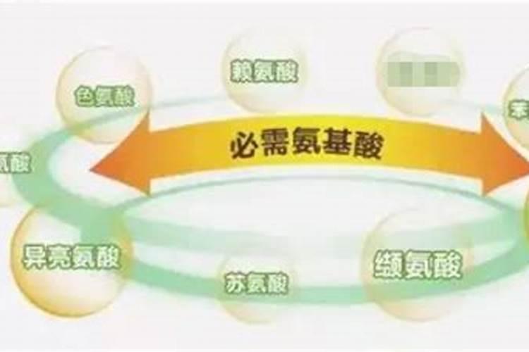 水培植物用什么肥料