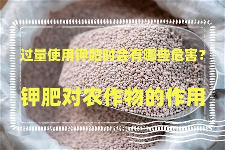 氮磷钾的肥料有哪些