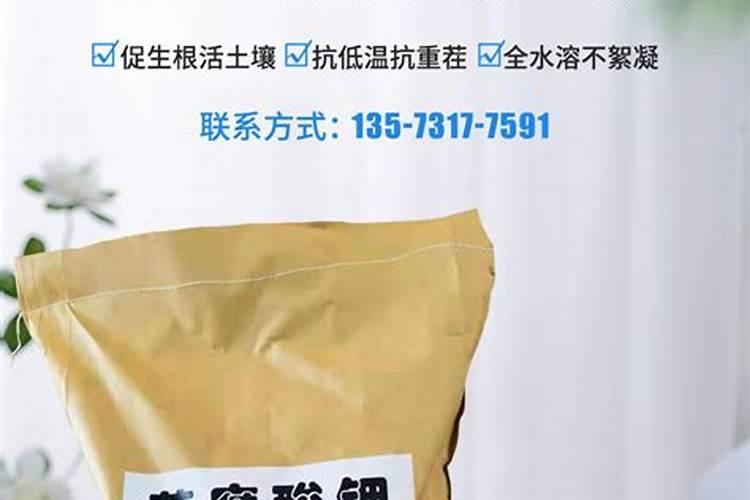 玉米花期可以冲施黄腐酸钾吗？
