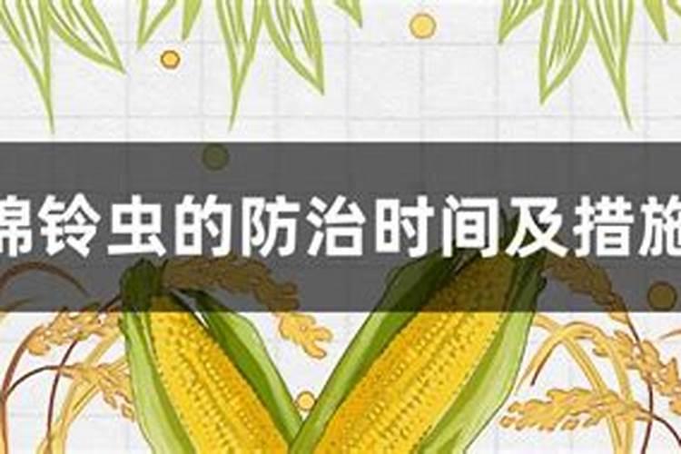 棉铃虫的防治时间