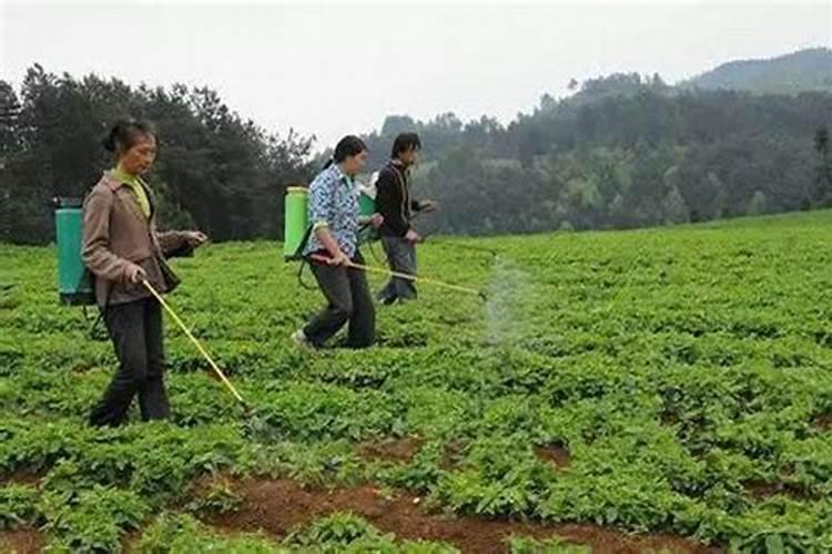 病害虫的防治方法，可采用物理、化学、生物防治等方法？