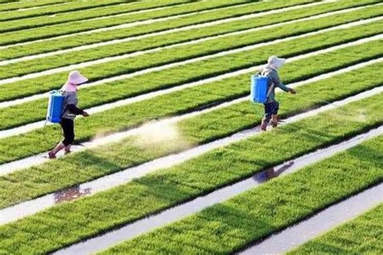 警惕！混合使用农药的科学与禁忌？