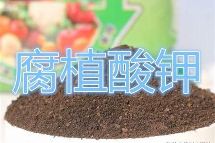 腐植酸钾是有机肥还是化肥？它的功能是什么？