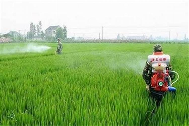 生物农药在生产实践中的注意事项