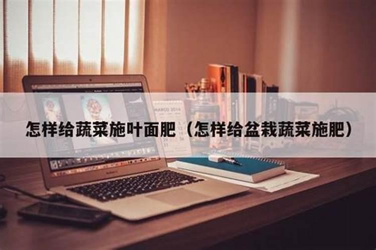 观叶植物的施肥种类选择及施肥方法？