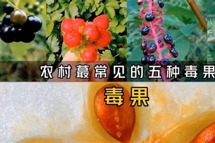 果树的几种低毒农药？