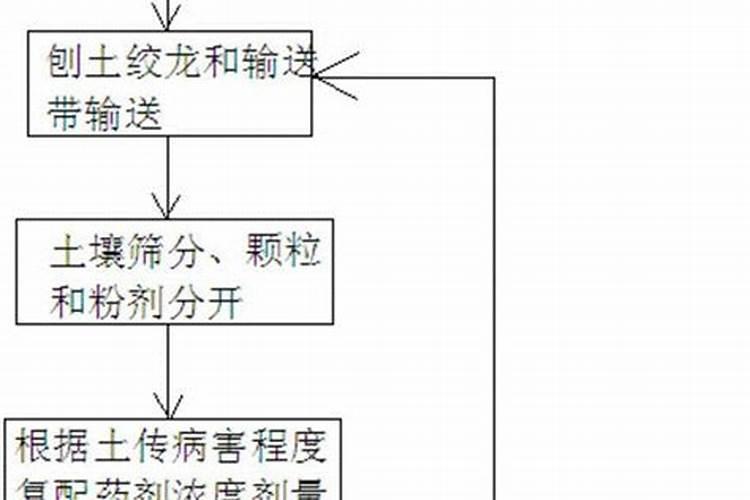 智慧田野：高效农药施用的艺术