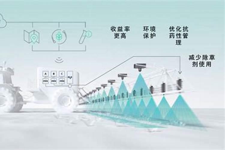 精准农业：掌握钾肥喷施比例的关键因素
